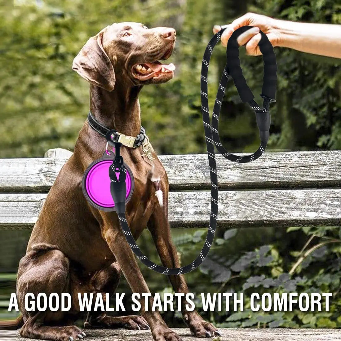 Reflective Dog Leash